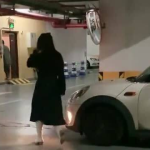 小姐姐泊车技巧小说,小姐姐的停车艺术秘籍