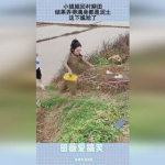 土壤小姐姐,揭秘土壤的秘密与生命之源