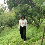 汶川李子小姐姐,灾后重生，绽放希望之花